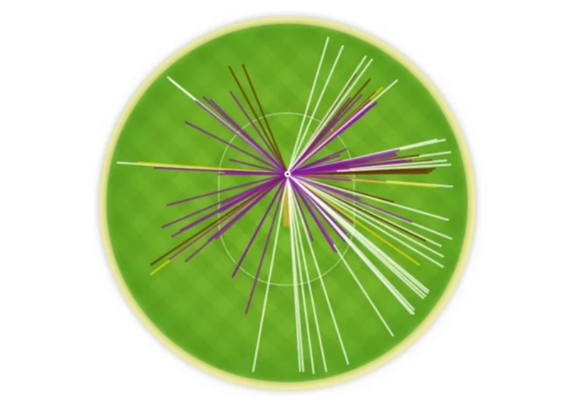 The Border Gavaskar Trophy: Sachin's 241* without a cover drive